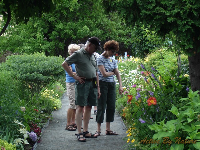 DSC02005