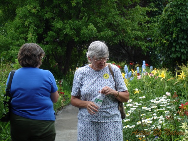 DSC02006
