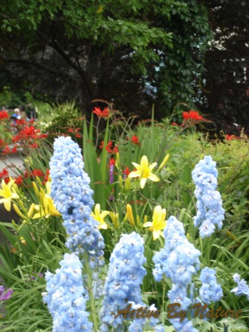 DSC02007