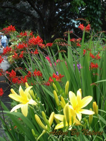 DSC02008