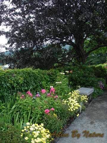 DSC02009