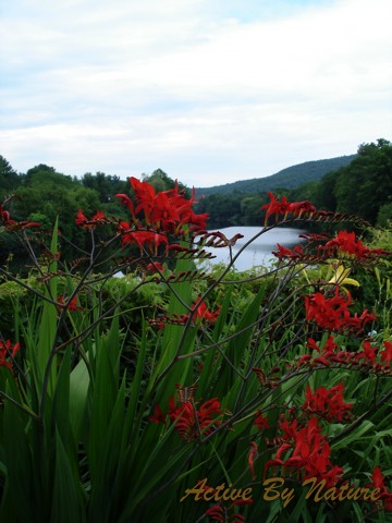 DSC02013