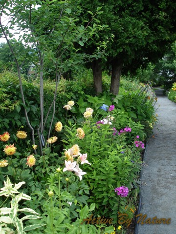 DSC02014