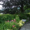 DSC02009
