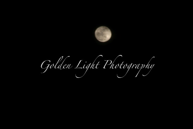 IMG_0021