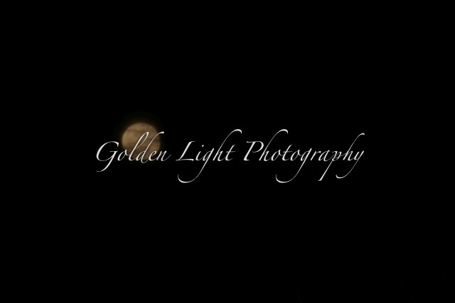 IMG_9975