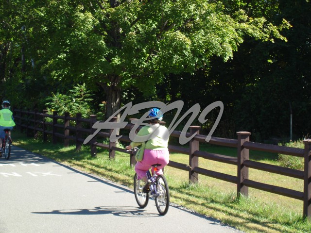 DSC00460