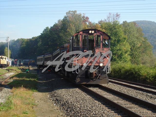 DSC00549
