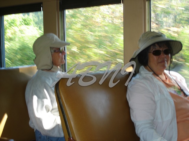 DSC00550