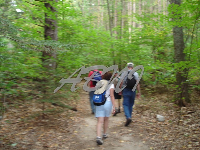 DSC00557