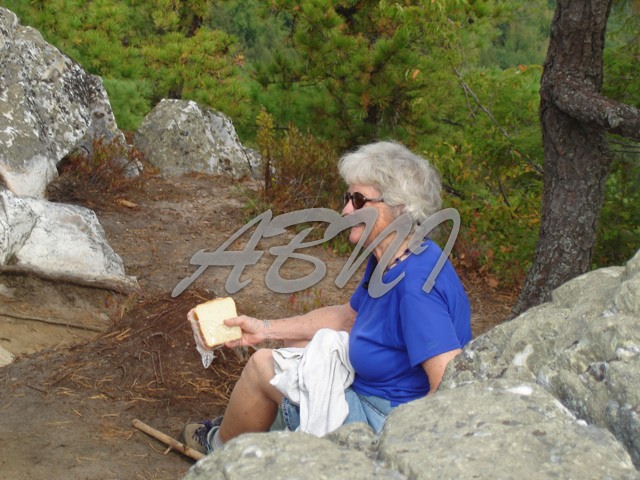 DSC00568