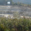 DSC00554