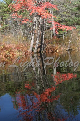 2091 Reflection