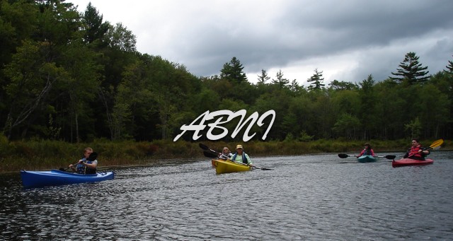 DSC03241
