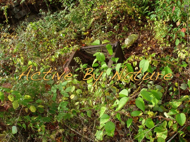 DSC02510