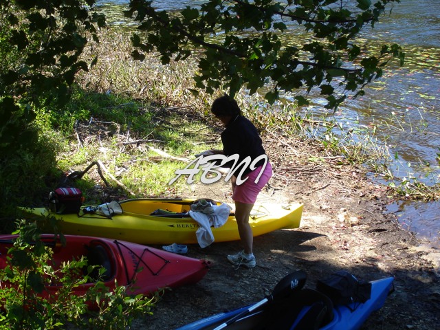 DSC03164